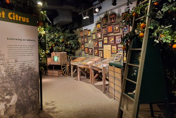 Orange County Regional History Center citrus display