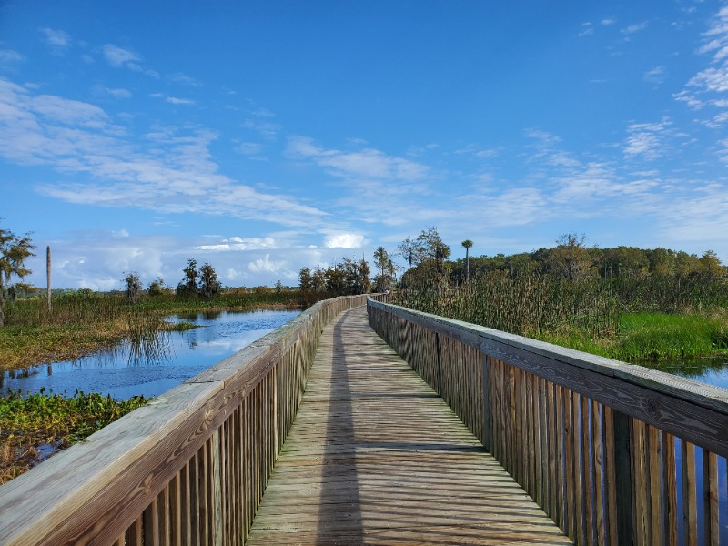 Orlando Wetlands boardwalk