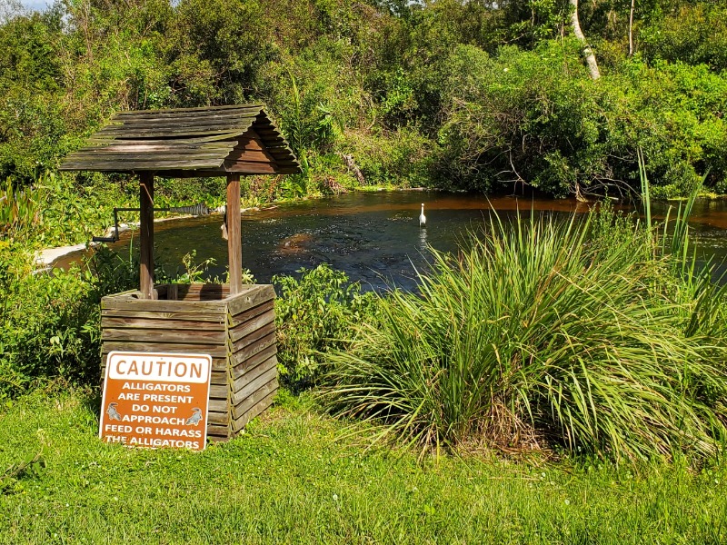 Caution sign by the water warning of alligators at the Orlando Wetlands