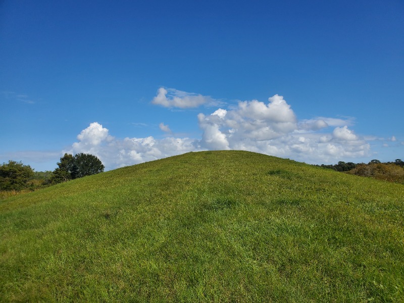 Grassy hill at the Orlando Wetlands