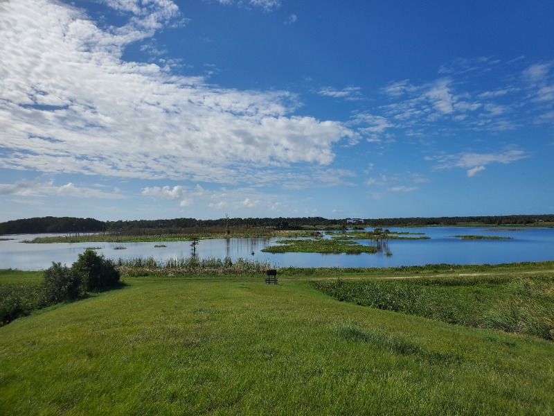 Orlando Wetlands view of the water from the hill