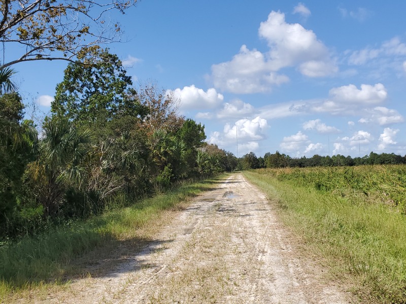 Orlando Wetlands trail
