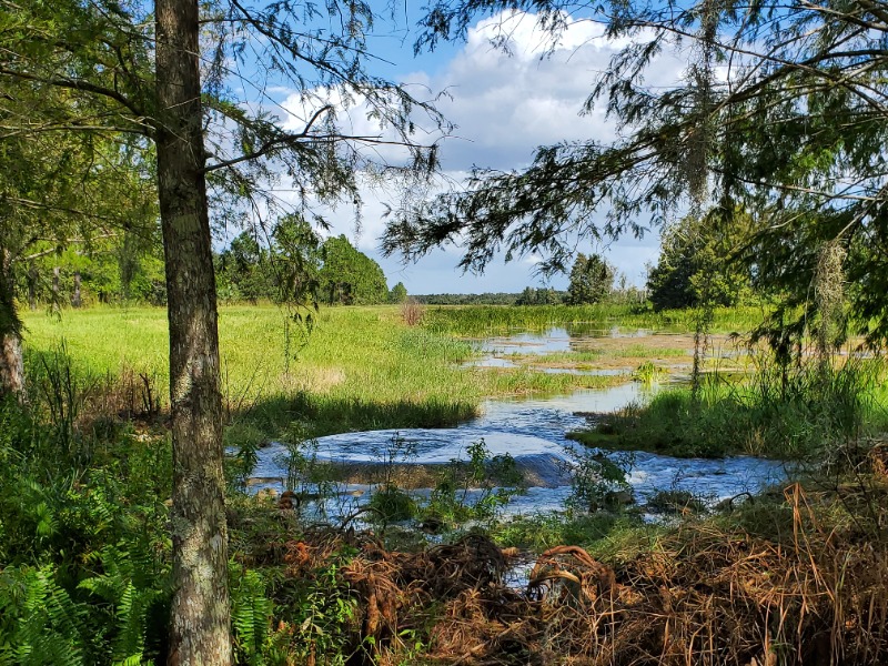 Body of water at the Orlando Wetlands