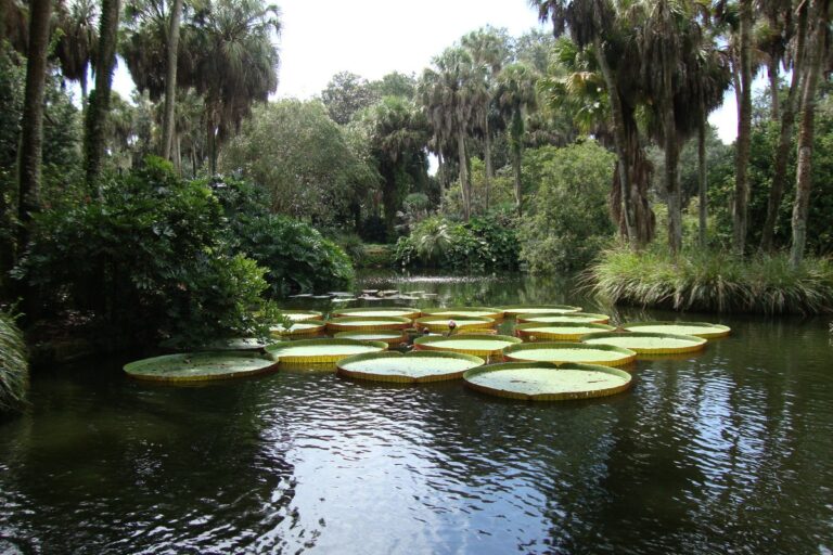 5 Great Romantic Day Trips from Orlando for Couples