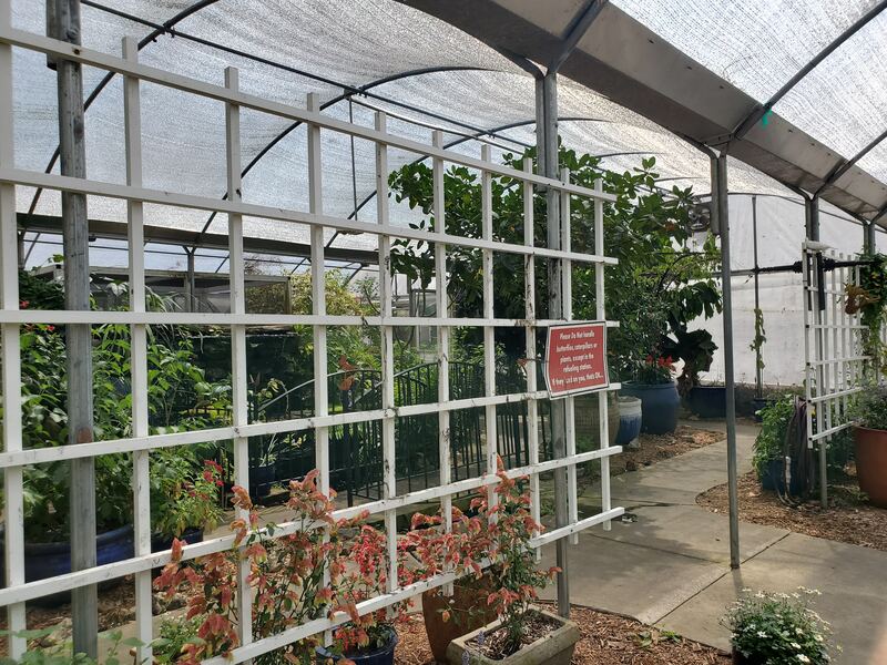 Butterfly Encounter garden at Lukas Nursery in Oviedo, FL