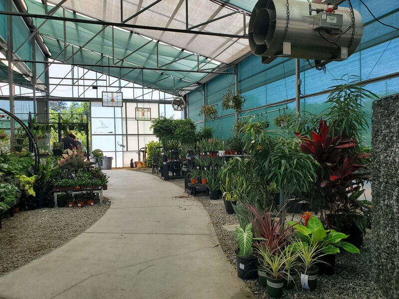 Indoor plants at Lukas Nursery in Oviedo, FL