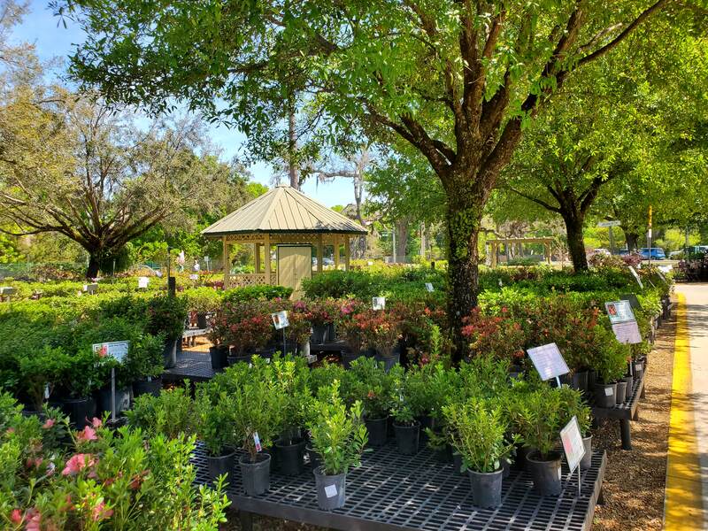 Plants at Lukas Nursery in Oviedo, FL
